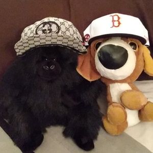 Meet your Posher, Robert